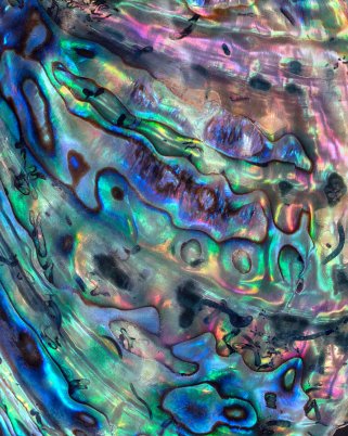 Memorable moments in life.